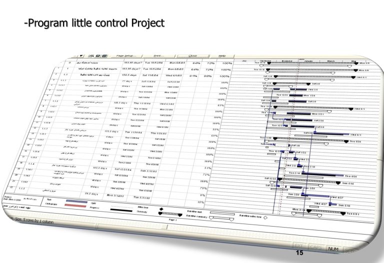 Work sample: Project control program screens
